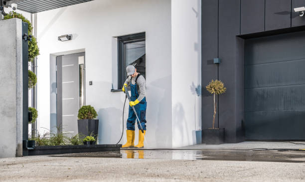 Best Driveway Pressure Washing  in Stevenson Ranch, CA